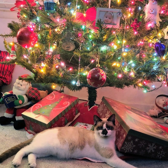 💕❤️JEWELRY Buy 2, Get 1 FREE❤️💕 - Picture 6 of 16